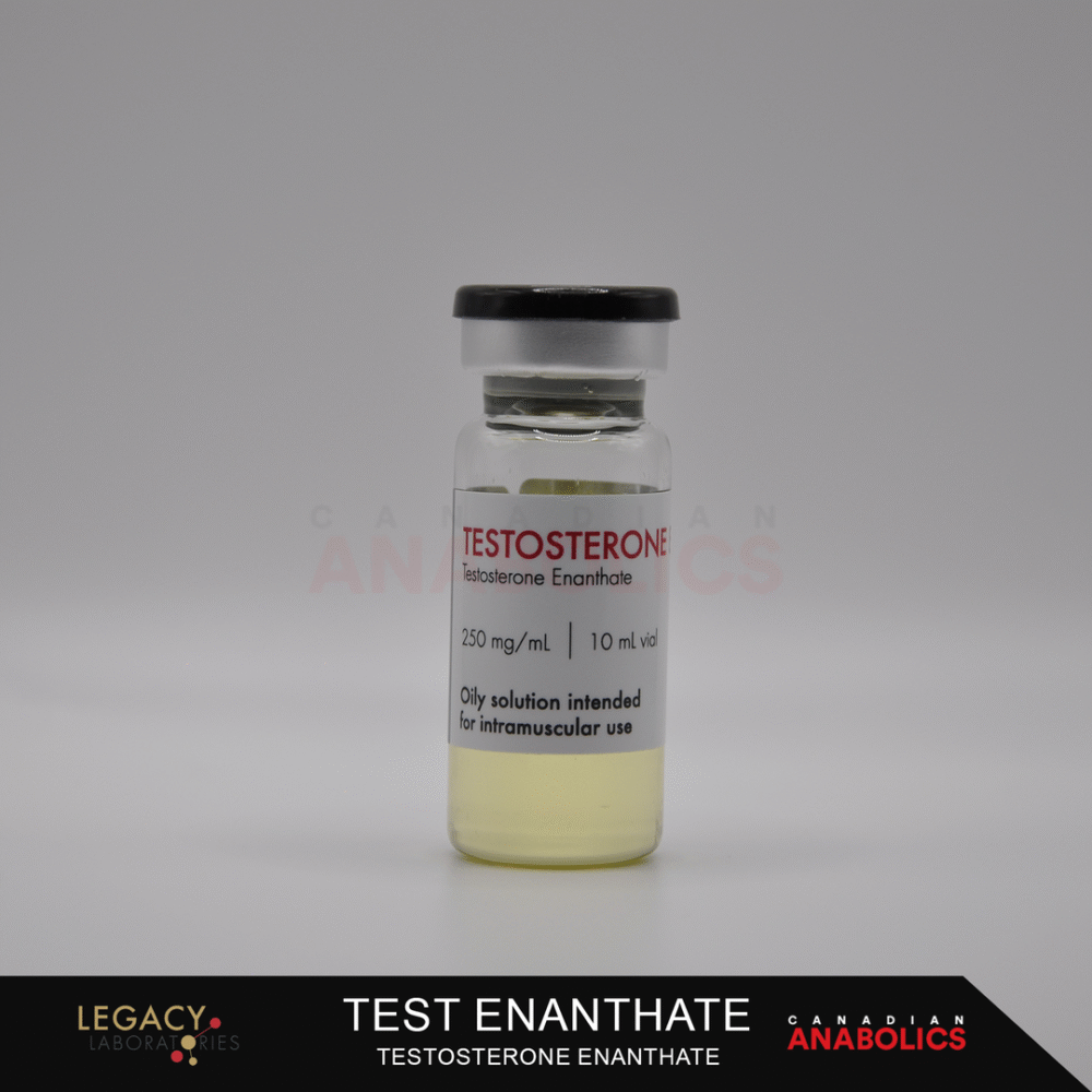 Leg-Oils-Testosterone Enanthate | Legacy Laboratories Testosterone Enanthate | Buy Test E In Canada
